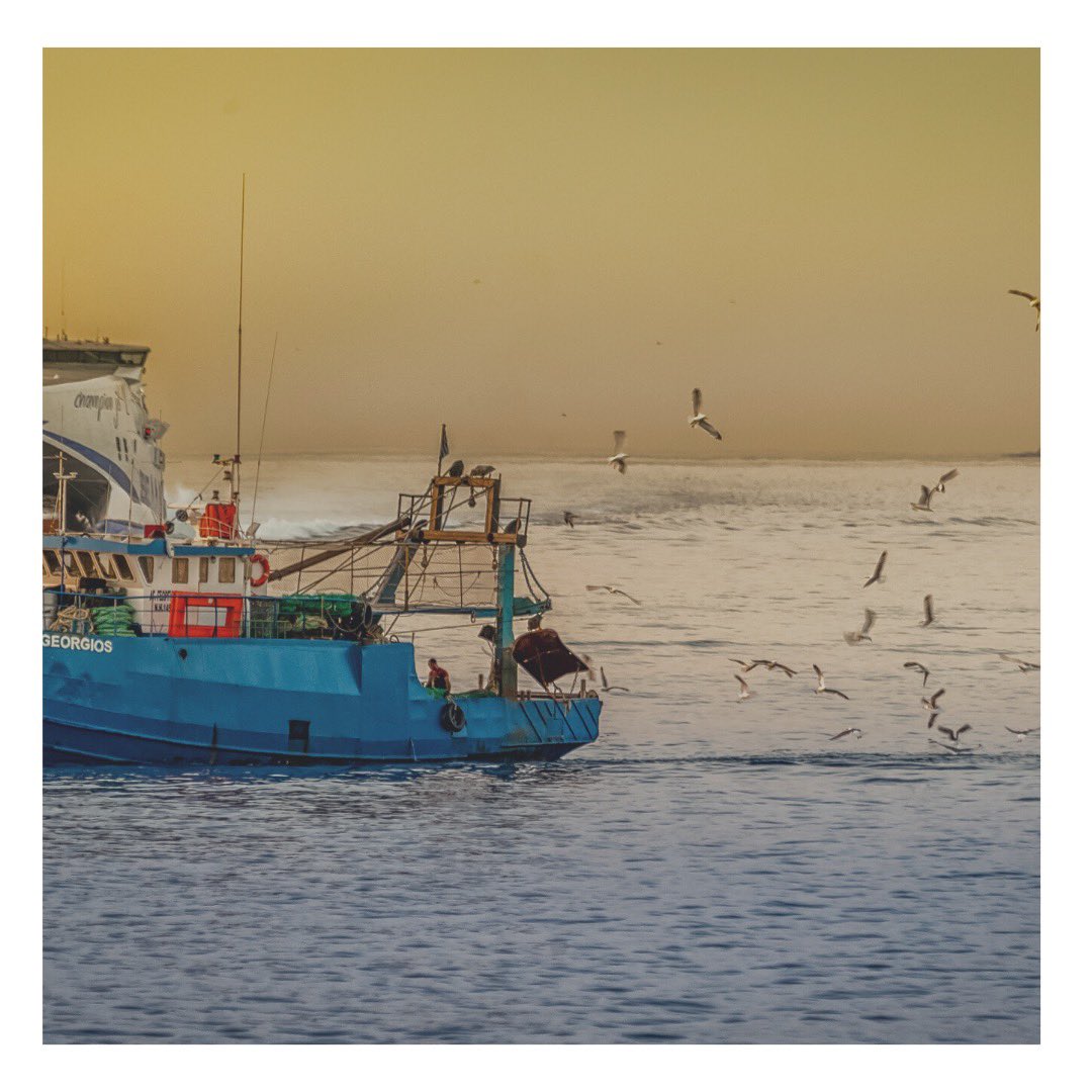 Comepesca's tweet photo. La #pesca 🎣y #acuacultura 🌊son parte de la riqueza de México🇲🇽, son una fuente de salud y #México es un gran ejemplo. Esta rama económica contribuye con más de 1.2 millones de empleos directos e indirectos.  👏 https://t.co/eZBFrPpRfn