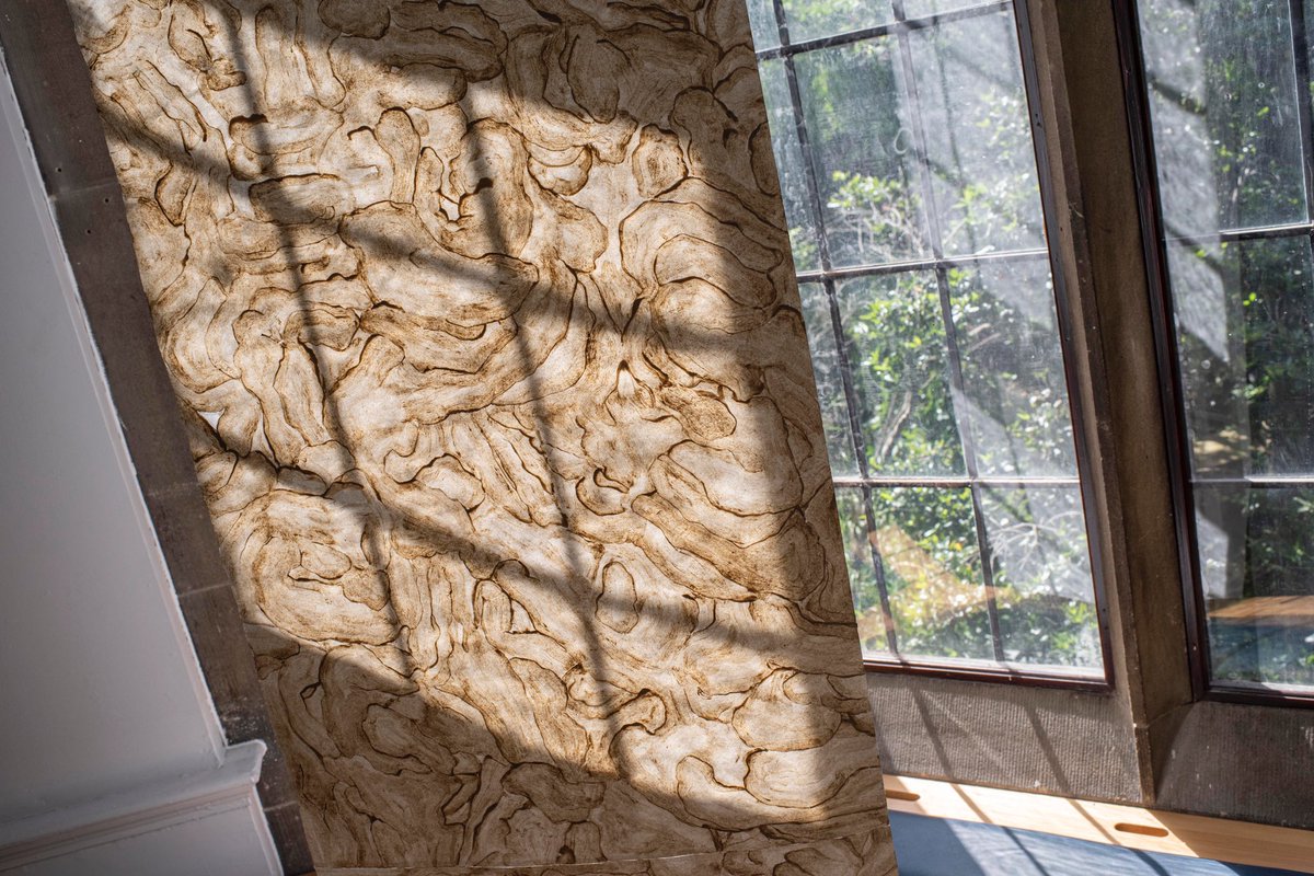 colin davison tweet media