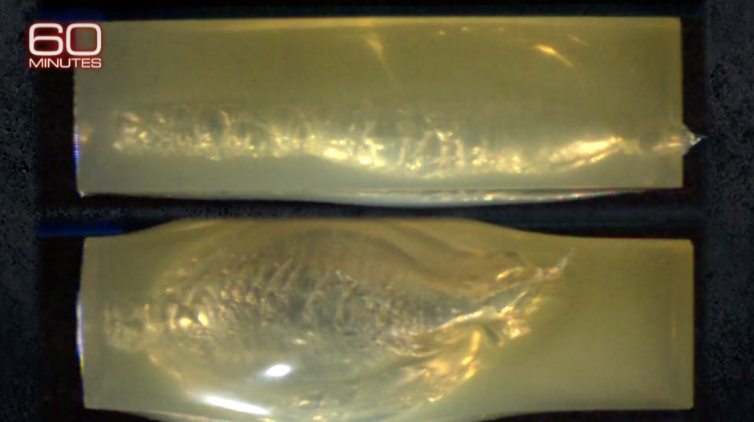 An AR-15 will do significantly more damage to your tissues, bones and organs. 

Bones will shatter.
Organs will be destroyed. 

A must-watch from <a href="/60Minutes/">60 Minutes</a> 
cbsnews.com/news/ar-15-use…