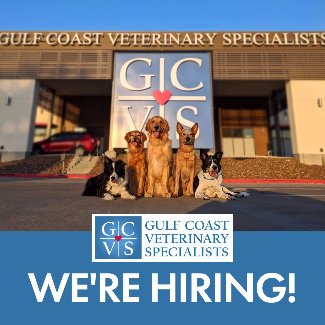 Gulf Coast Animal Hospital Gulf Coast Veterinary Hospital Orange