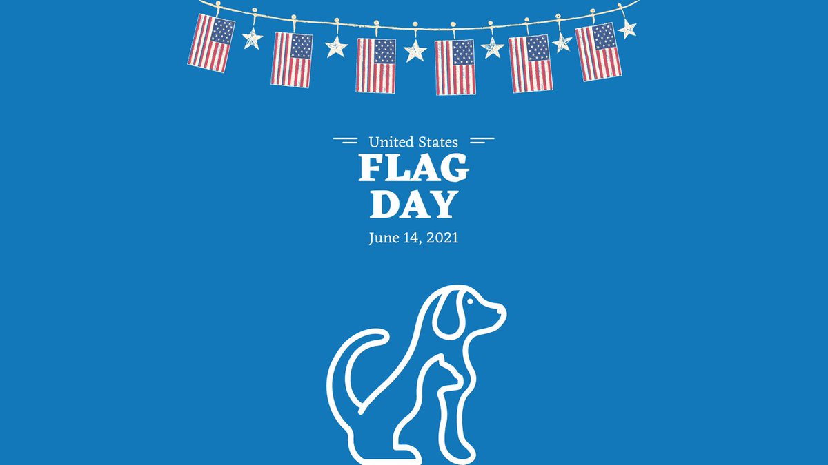 Happy Flag Day!
#petvetnow 
#veterinarytelemedicine 
#specialistnow 
#vetnowconnectedcare 
#flagday2021