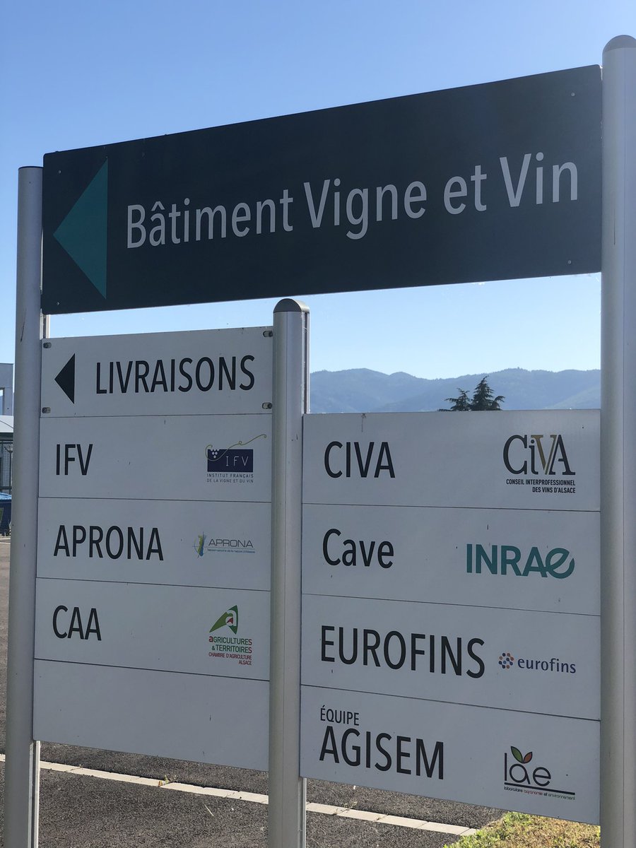 The best place to manually curate the new #grapereferencegenome annotation #PN40024v4 <a href="/I17111/">ㅇㅇ</a> cost action working group meeting <a href="/UMREGFV/">inrae_egfv</a> INRAE Colmar <a href="/COSTprogramme/">COST</a>