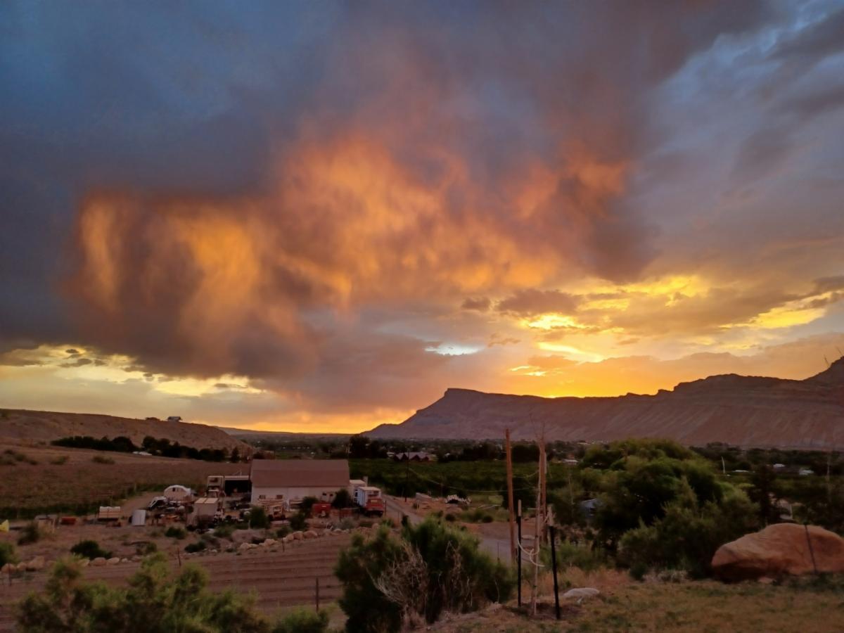 BookCliff Vineyards tweet media