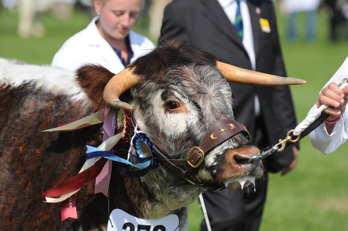 Devon County Show to go ahead as planned despite latest Government announcement on lockdown easing.  Read our statement at bit.ly/3iCedTT