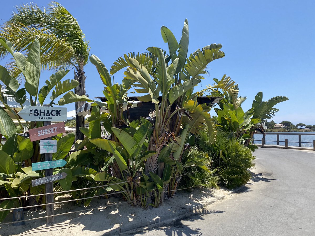 Beautiful and relaxing lunch at the shack,short drive from apartment Julia ☀️