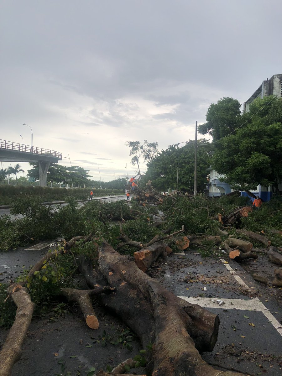 jcelchorrillo's tweet photo. Rehabilitación de la Ave. De los Poetas. 

La Junta Comunal de El Chorrillo realizó el día de hoy, la limpieza de la Ave. de los Poetas, que se vio afectada con la caída de árboles e inundaciones, tras las fuertes lluvias ocurridas el día de ayer en todo el país. https://t.co/FWc6YpZkqy