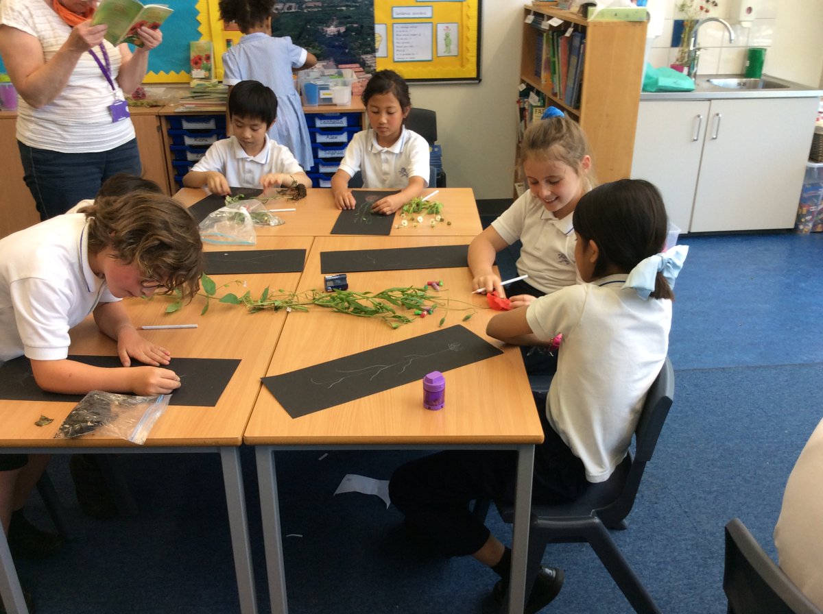 BSNJSV's tweet image. #JSVY3 are being botanists today. Looking carefully at the features of wild flowers. Nature is beautiful.