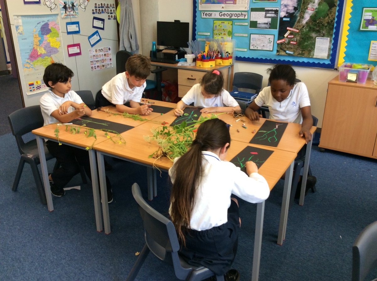 BSNJSV's tweet image. #JSVY3 are being botanists today. Looking carefully at the features of wild flowers. Nature is beautiful.