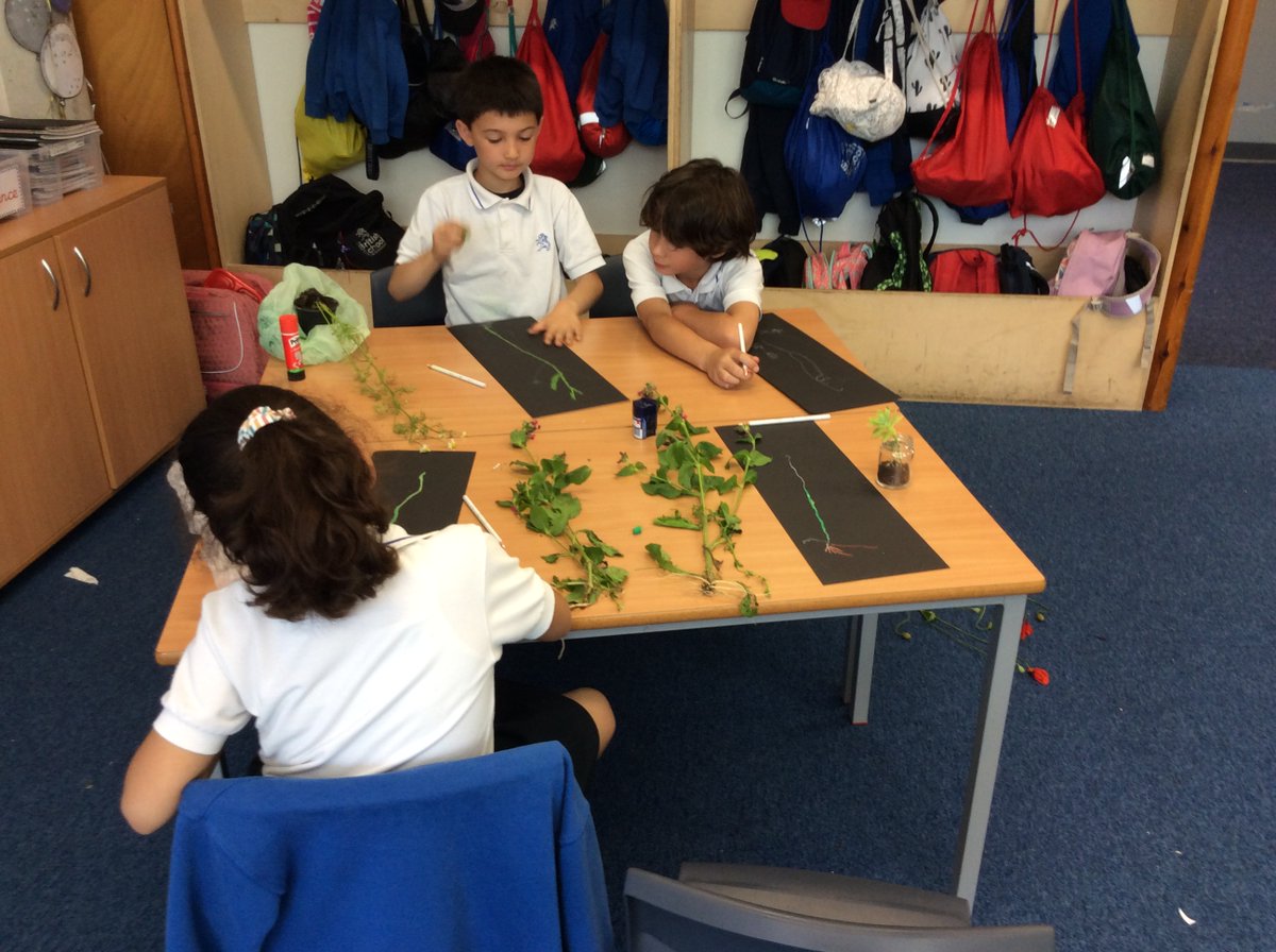 BSNJSV's tweet image. #JSVY3 are being botanists today. Looking carefully at the features of wild flowers. Nature is beautiful.