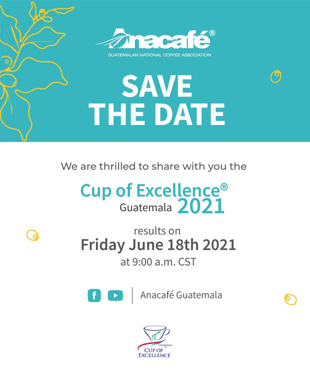 20 years of <a href="/CupOfExcellence/">Cup of Excellence</a> Guatemala! Want info on this year’s winning coffee lots? Tune in to <a href="/CafedeGuatemala/">Anacafé</a>'s channels for the award ceremony livestream on June 18th.
