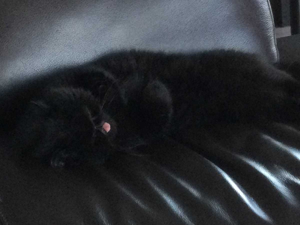 mpaquin2's tweet image. Ma petite Adèle fait dodo