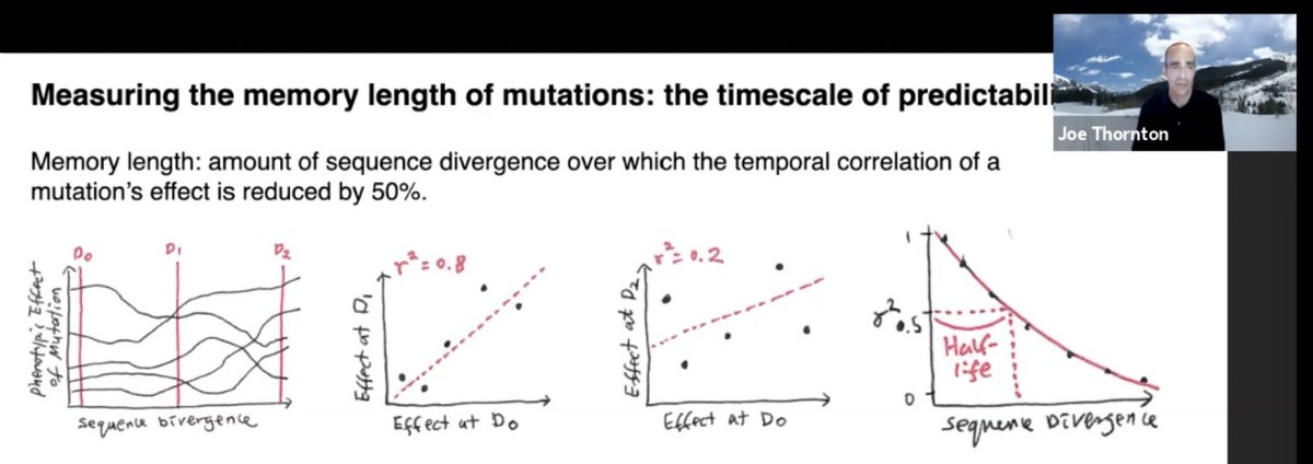 Stefan Bassler (@stefanbassler) on Twitter photo Fascinating talk by Joe Thornton <a href="/JoeThorntonLab/">JoeThornton</a> on the memory length of (epistatic) mutations, the amount of sequence divergence over which the temporal correlation of a mutation’s effect is reduced by 50%.
Very relevant for antibiotic resistance prediction!
#EMBOPredictEvo Fascinating talk by Joe Thornton <a href="/JoeThorntonLab/">JoeThornton</a> on the memory length of (epistatic) mutations, the amount of sequence divergence over which the temporal correlation of a mutation’s effect is reduced by 50%.
Very relevant for antibiotic resistance prediction!
#EMBOPredictEvo