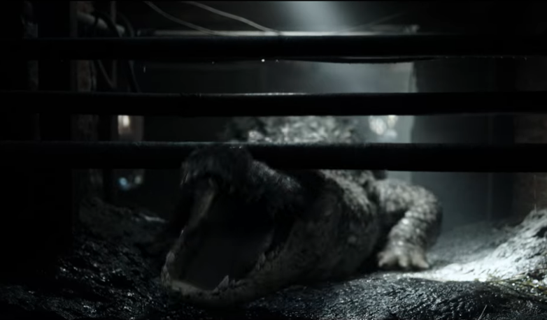 앗 넷플릭스에 크롤이라는 영화 있길래 보는중인데 본격적으로 악어가 사람들먹는영화다...즐거워 ...Translate post