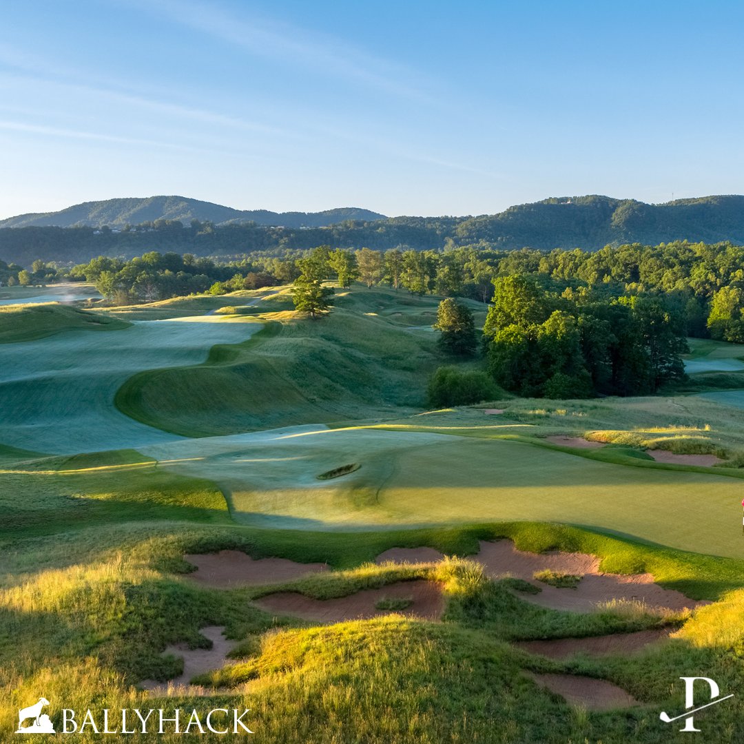 thepressgolf tweet media