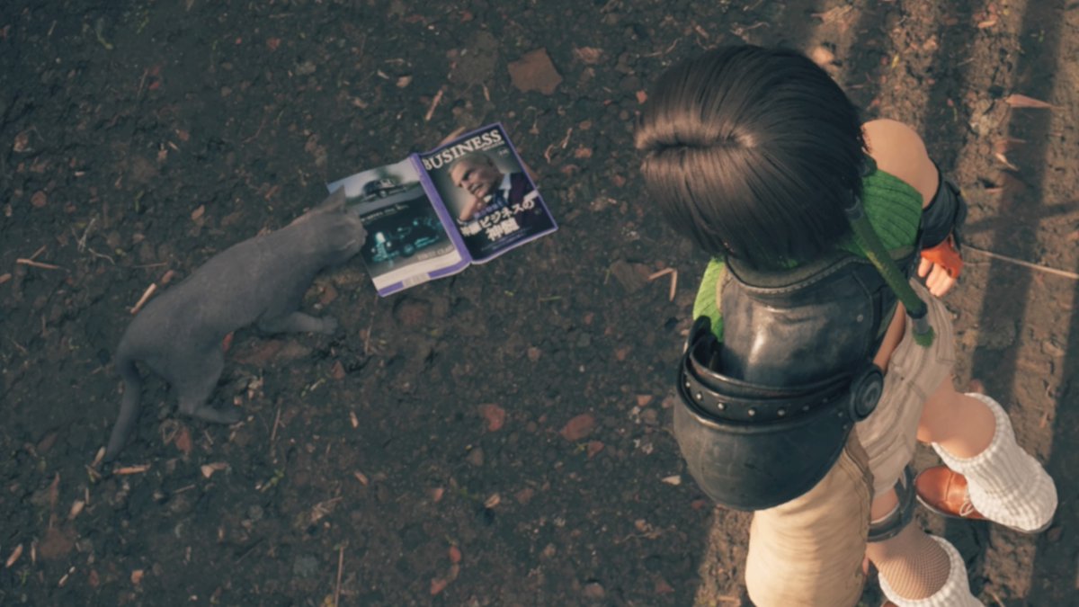 my_rut_turks's tweet image. 猫が咥えてる雑誌！！なんで持ってるのwww #FF7_inter