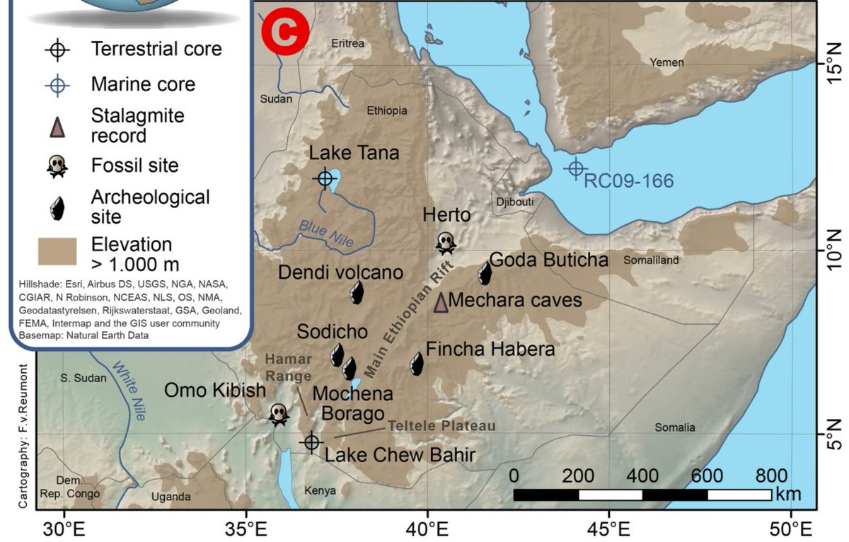 A drying trend in East Africa between 200,000 and 60,000 years ago was followed by cycles of high millennial to centennial climate variability, and may have influenced the dispersal of human populations
@FSchaeb <a href="/MartinHTrauth/">Martin H. Trauth</a> <a href="/henryflamb/">Henry Lamb</a> <a href="/SFB806_CRC806/">CRC806/SFB806 Our Way to Europe</a>

nature.com/articles/s4324…