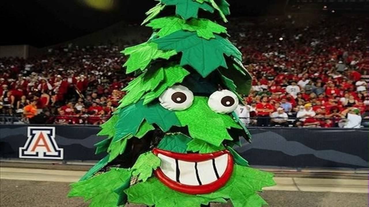 stanford tree football