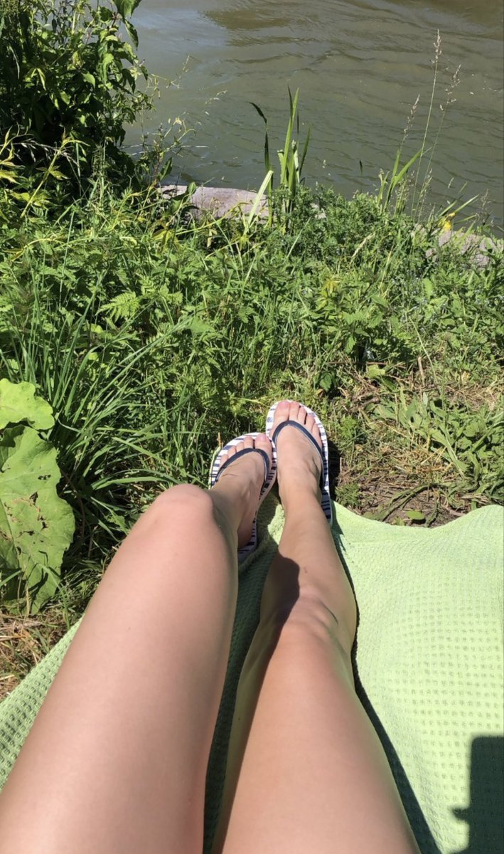 Königin Kathi 🌹 tweet media