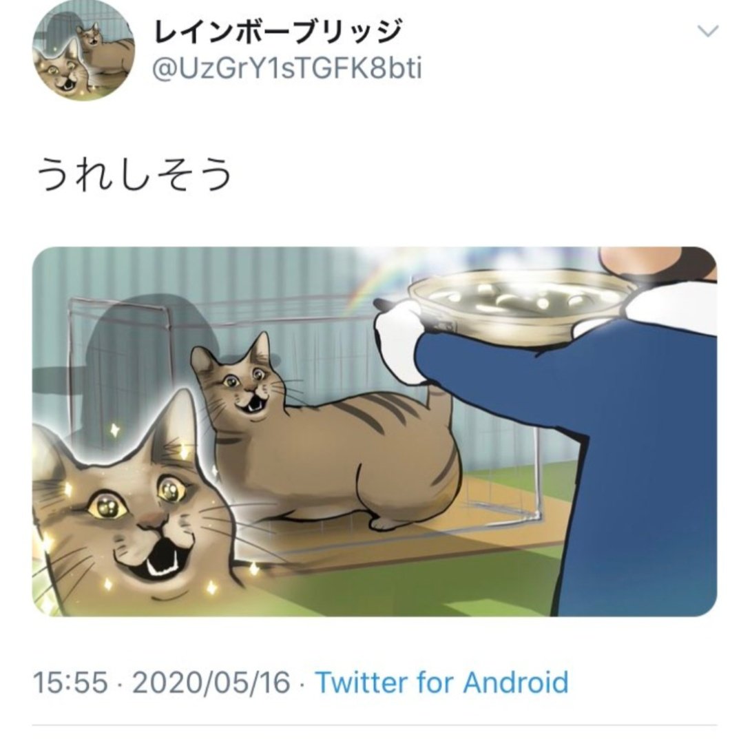 なんj 生き物苦手