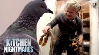 RT @BotRamsay: GORDON RAMSAY Shouts at A Chicken and More Dead Pork in the Kitchen https://t.co/ruzktay6KX