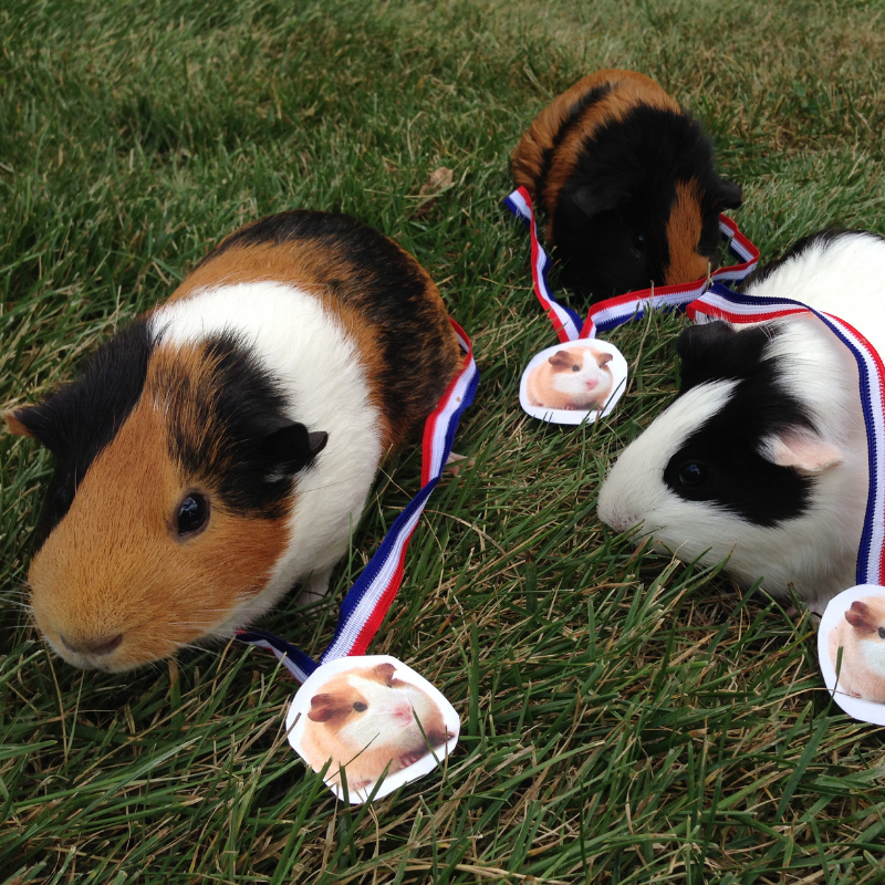 They all deserve a medal! 🌟😍