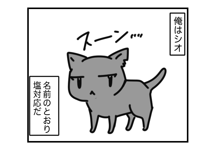 #挨拶365
#6月ねこねこマンガ 11〜14/30

塩対応のシオ 