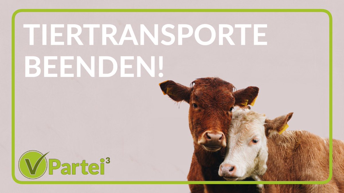 Tiertransporte, insbes. von Rindern/Schweinen in Drittländer, stehen immer wieder in der Kritik. Bei Lebendtransp über DE/EU- Grenzen ist Versorgung der Tiere nicht sicherzustellen.

#banliveexports #stoplivetransport #stopptlebendtiertransporte #tiertransporte #transportestoppen