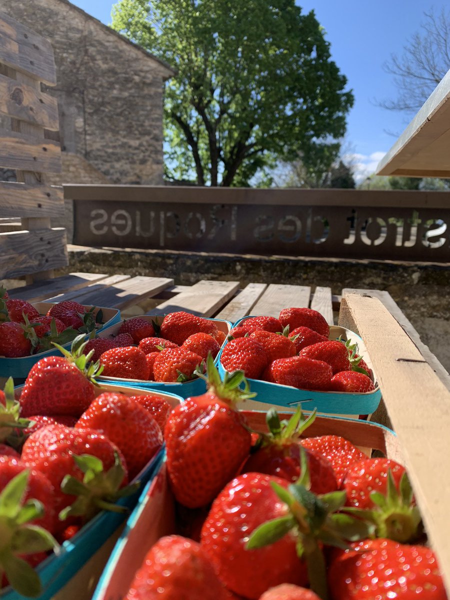benoit_perrotin's tweet photo. #bistrot #luberon #michelin #etoileverte @benoit_perrotin @laprovence @LeFooding @guideMichelinFR @gaultmillau https://t.co/2t07auwFRw