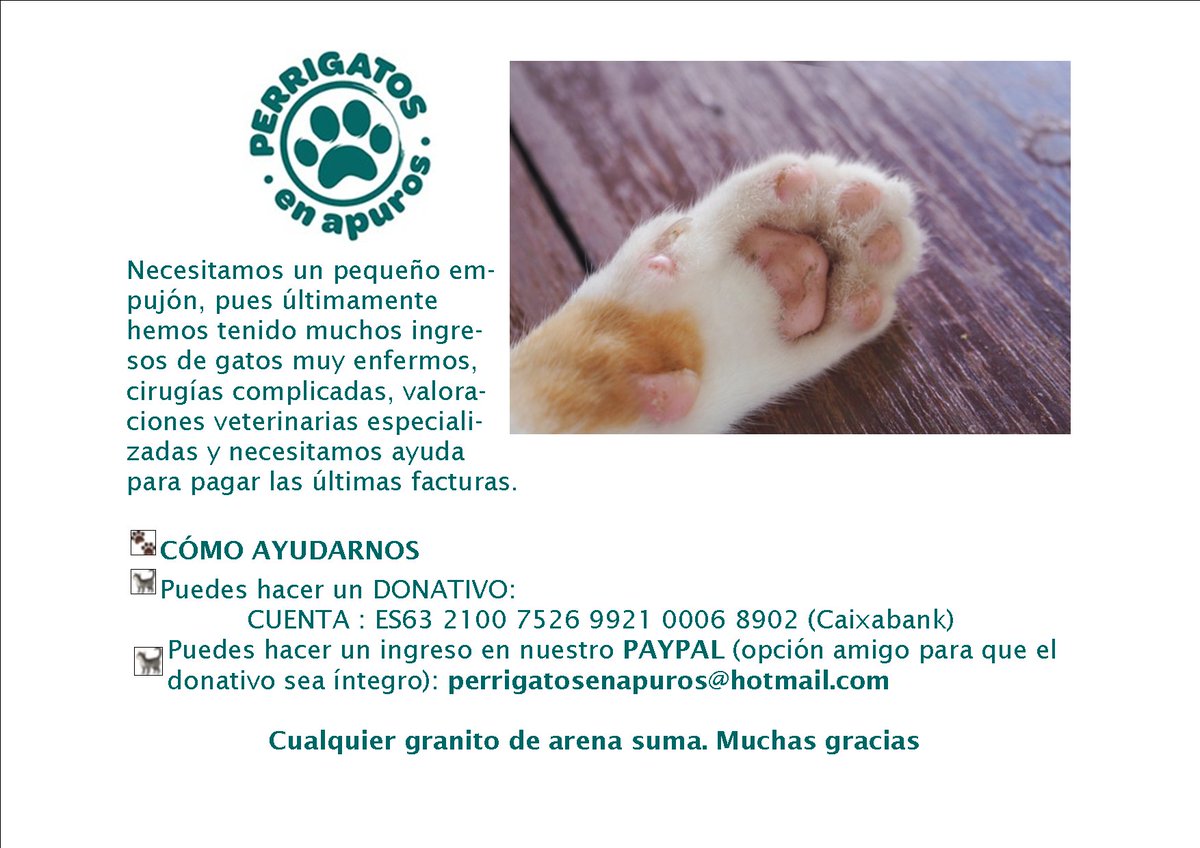perrigatosenapu's tweet photo. 📣concurso 📣
La app @amazdog tiene herramientas y descuentos para amantes de los animales. Participamos en #DogChallenge2021, con el que conseguir pienso para nuestros peludos.
Menciónanos en https://t.co/FgLjMNDKvg para optar al premio.
Gracias https://t.co/VeQVXtc0Gn
