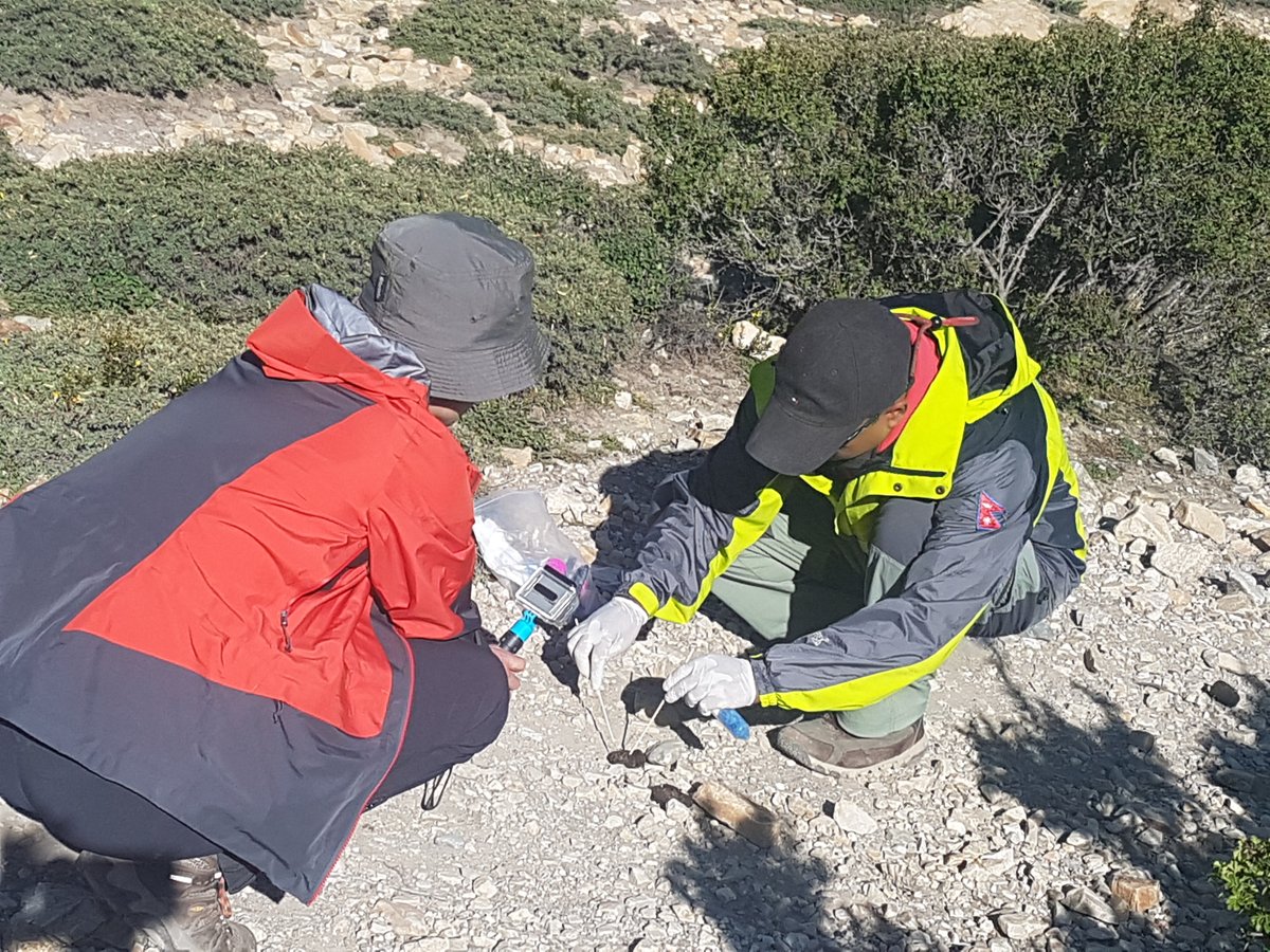 Exciting postdoc to help develop a paper-based technology for species detection! Do you have experience in biosensors and functional nucleic acids? A passion for conservation? Come join us and make a difference! findapostdoc.com/search/job-det… #DNAnanotechnology #biosensors #postdoc