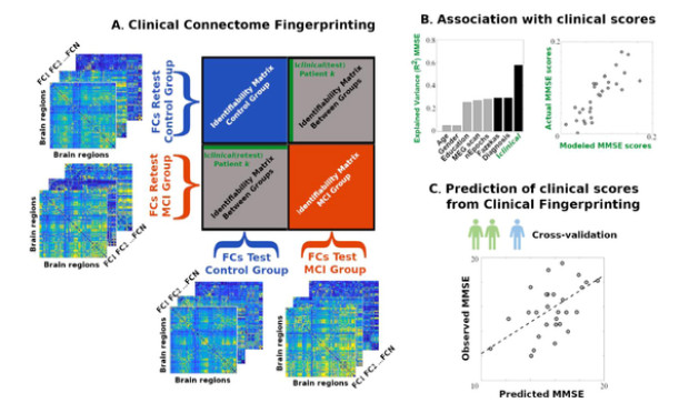 PierpaSorre's tweet photo. The Clinical Connectome Fingerprint https://t.co/ALQfmb8h5G: brain disease (MCI) dysregulates large-scale patterns of activity, and patients become less identifiable proportionally to cognitive impairment! Hope you guys like it (…and use it)! @Enri_amico  @HbpWp1 @NeuroImage_EiC https://t.co/geHI4BgjiE