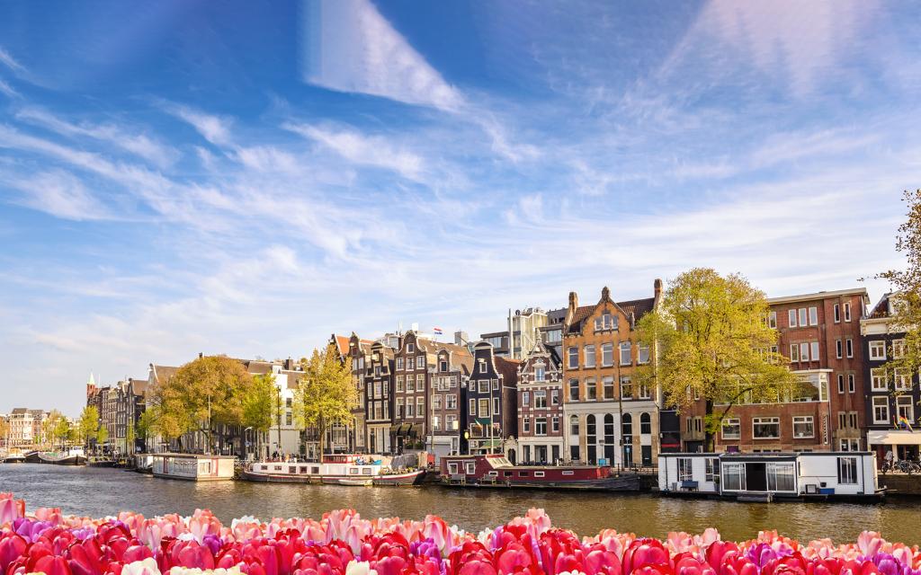 WestJet's tweet photo. Announcing new non-stop service to Amsterdam, Netherlands! Starting August 5, 2021, this seasonal route will operate on our #WestJet787 Dreamliner from Calgary. Learn more: https://t.co/Y5rzxkWaKM https://t.co/qccKIYU2v7
