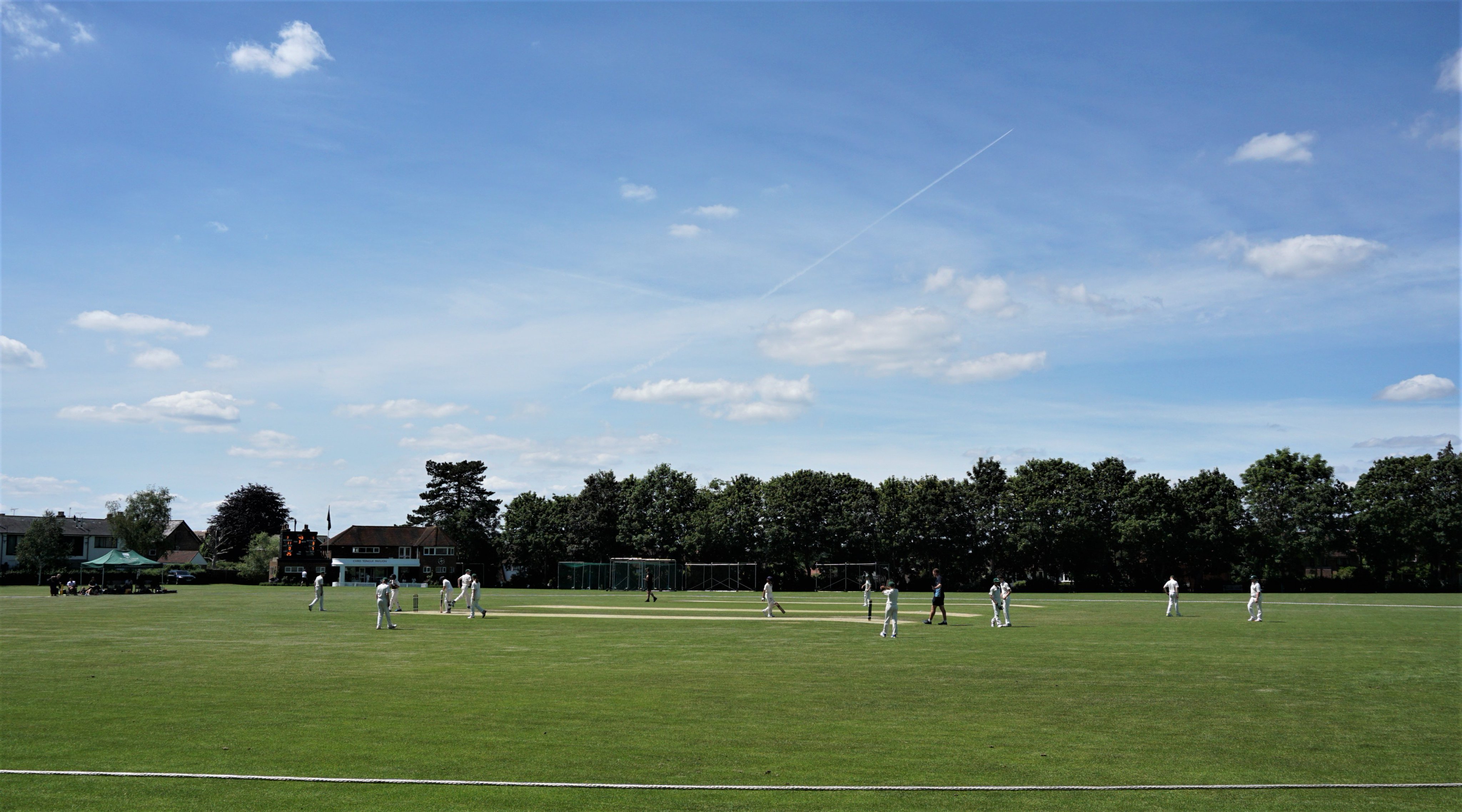 Rowena Cole (rowenacole01) / Twitter