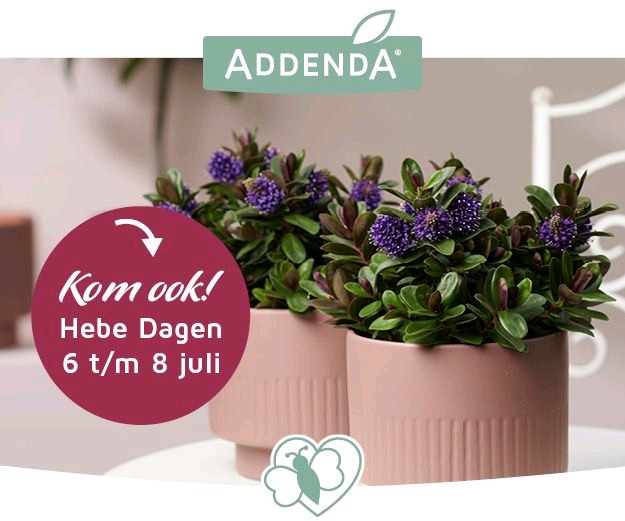 ADDENDA tweet media