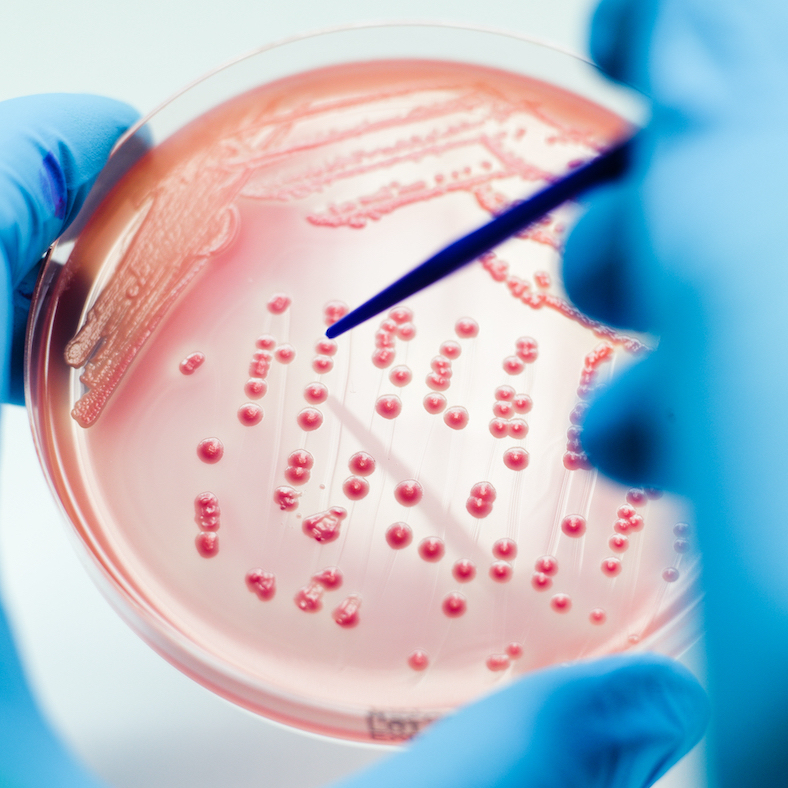 “Now's the time to get prepared for tomorrow’s health challenges”, says Dr 
@MoniqueEloit.

Joint work under #OneHealth must be strengthened to #BuildBackBetter after #COVID19 to face the threats of today &amp; tomorrow. #G7UK

MORE in #OneHealthforAll 👉 report2020oie.fr/en/animal-heal…