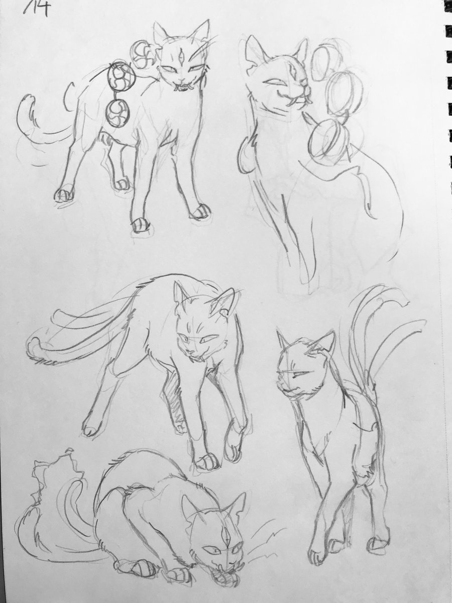 Shatters and re-learning cat anatomy with references 