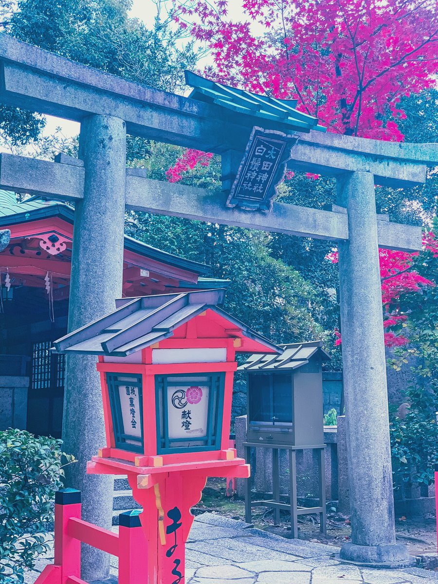 Sharla Missing Kyoto