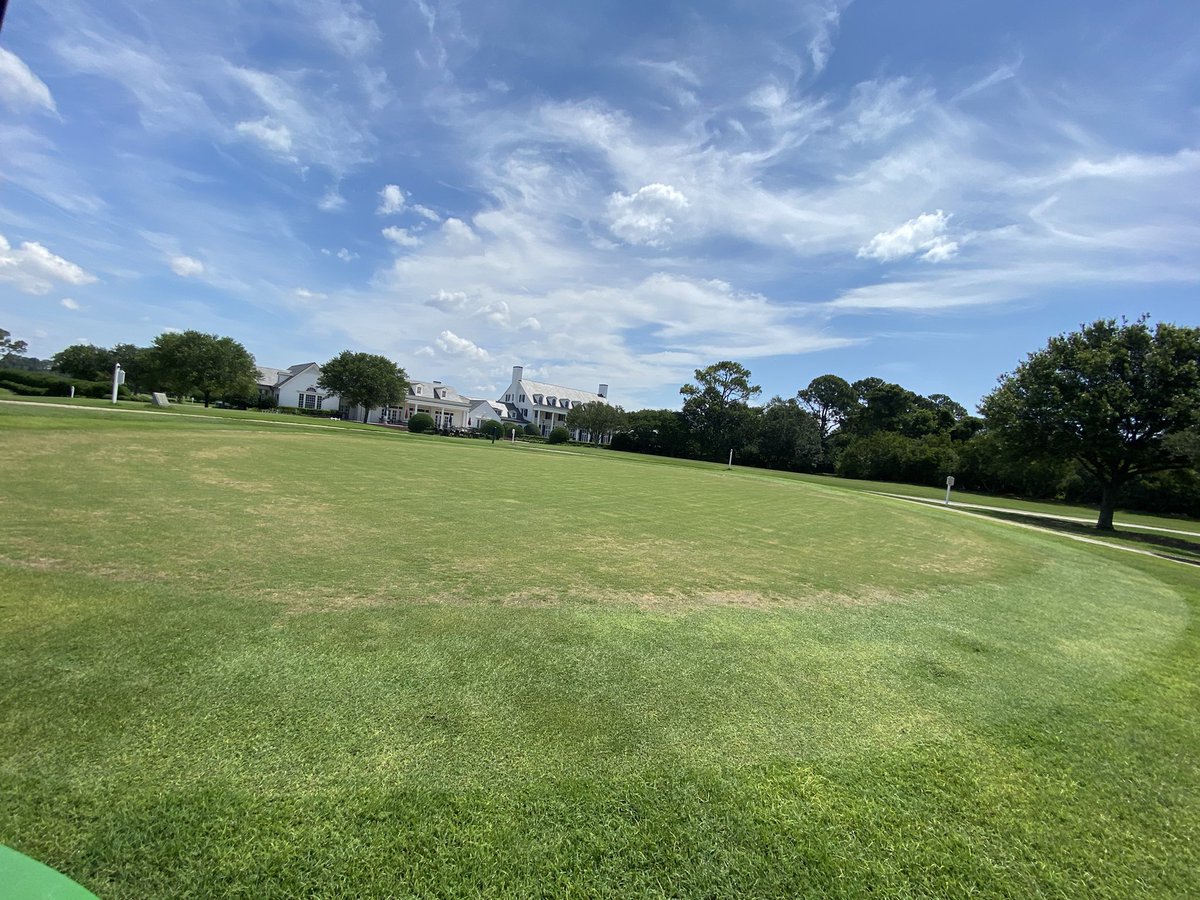 just_turf's tweet photo. 25 days since the sprigs went down. Got some areas slower to come in. Bunker project is coming along nicely too. #mycarolinasmorning https://t.co/RvPqC5f0Qv