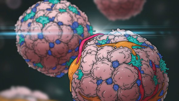 Cancer Cell (@cancer_cell) on Twitter photo Our June issue is fresh off the press. Go read it now: cell.com/cancer-cell/is… Our June issue is fresh off the press. Go read it now: cell.com/cancer-cell/is…