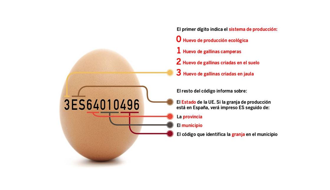 FoodSlearning's tweet photo. Los dígitos que encontramos en las cáscaras de los huevos nos aportan información de trazabilidad y con ello nos facilita la posibilidad de encontrar y seguir el rastro de estos a lo largo de su vida útil https://t.co/CczTXgEb4E