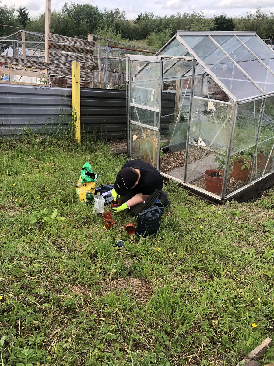TargetedYouth's tweet photo. All hands on deck this evening for our first visit to our new plot. The families had so much fun planting potatoes, cabbages and sun flowers @theterrywalton @youth4u1 https://t.co/UMknz3G1Yu
