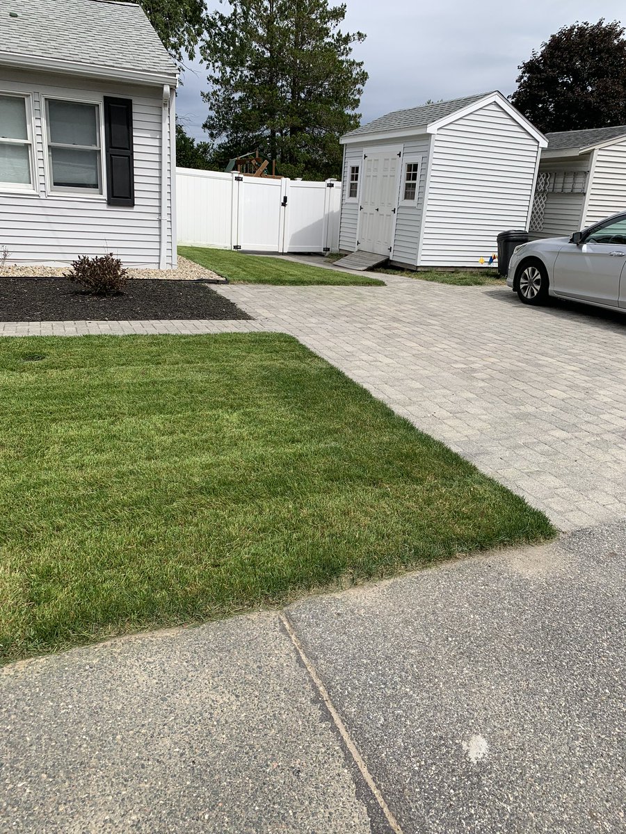 TonyLandscape's tweet image. 