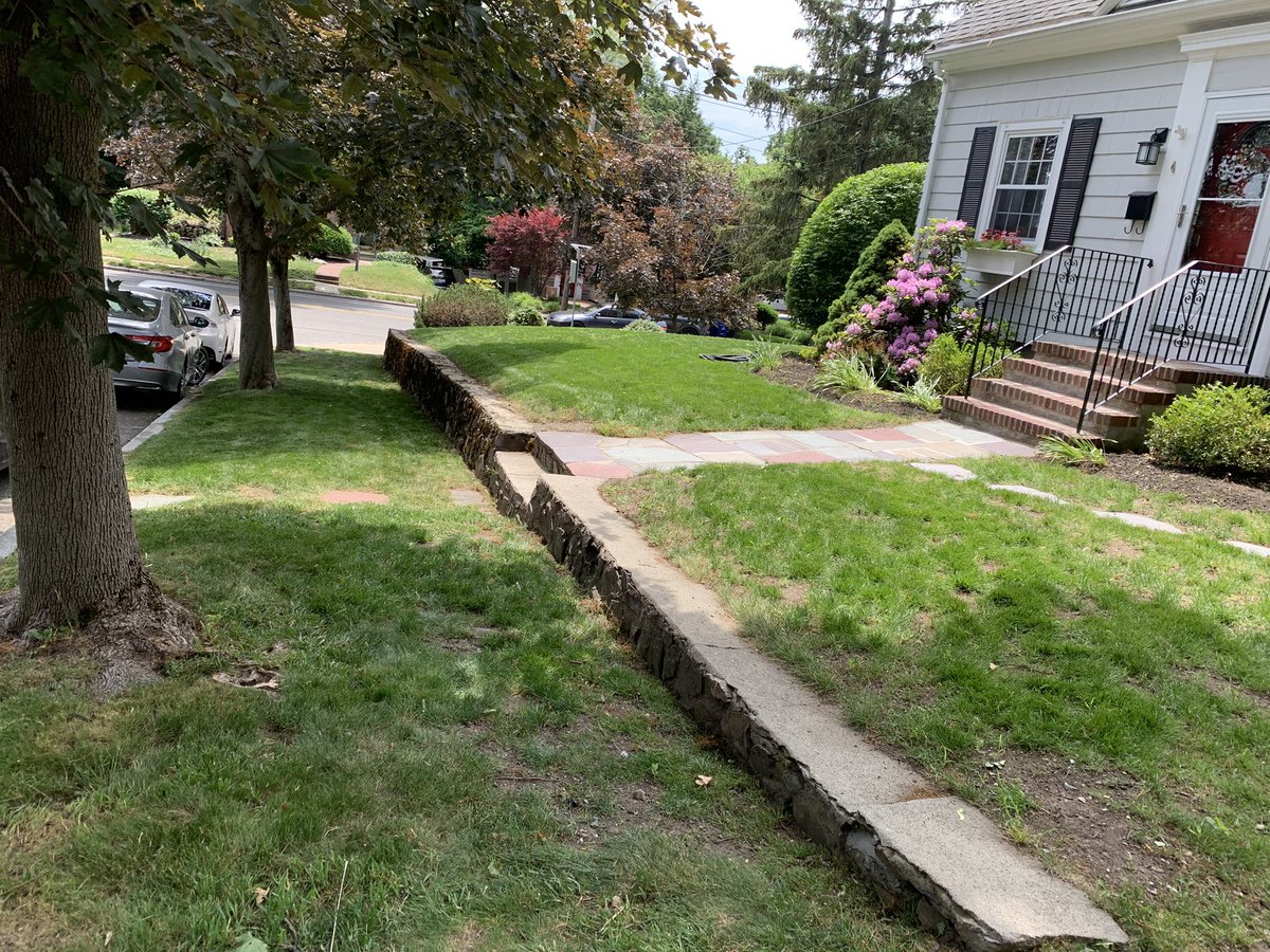 TonyLandscape's tweet image. 