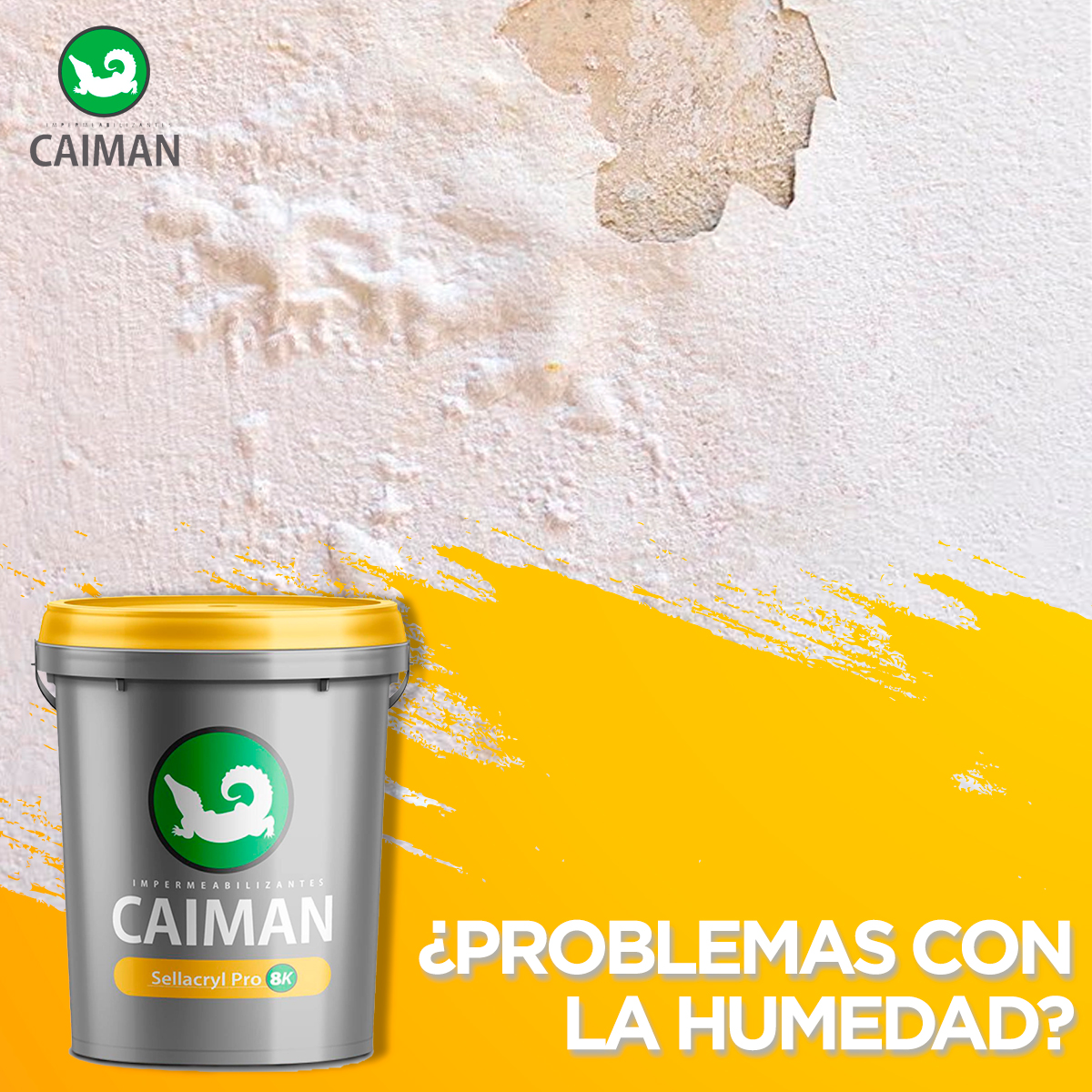 ASFALGUA's tweet photo. Protege tu techo y paredes de la lluvia con el impermeabilizante #Caiman Sellacryl® 
Contamos con distintas presentaciones: 
✅ Galón
✅ Cubeta
✅ Tonel

Adquiérelo en  https://t.co/XW5NKaaNge https://t.co/u4ndGmkLDL