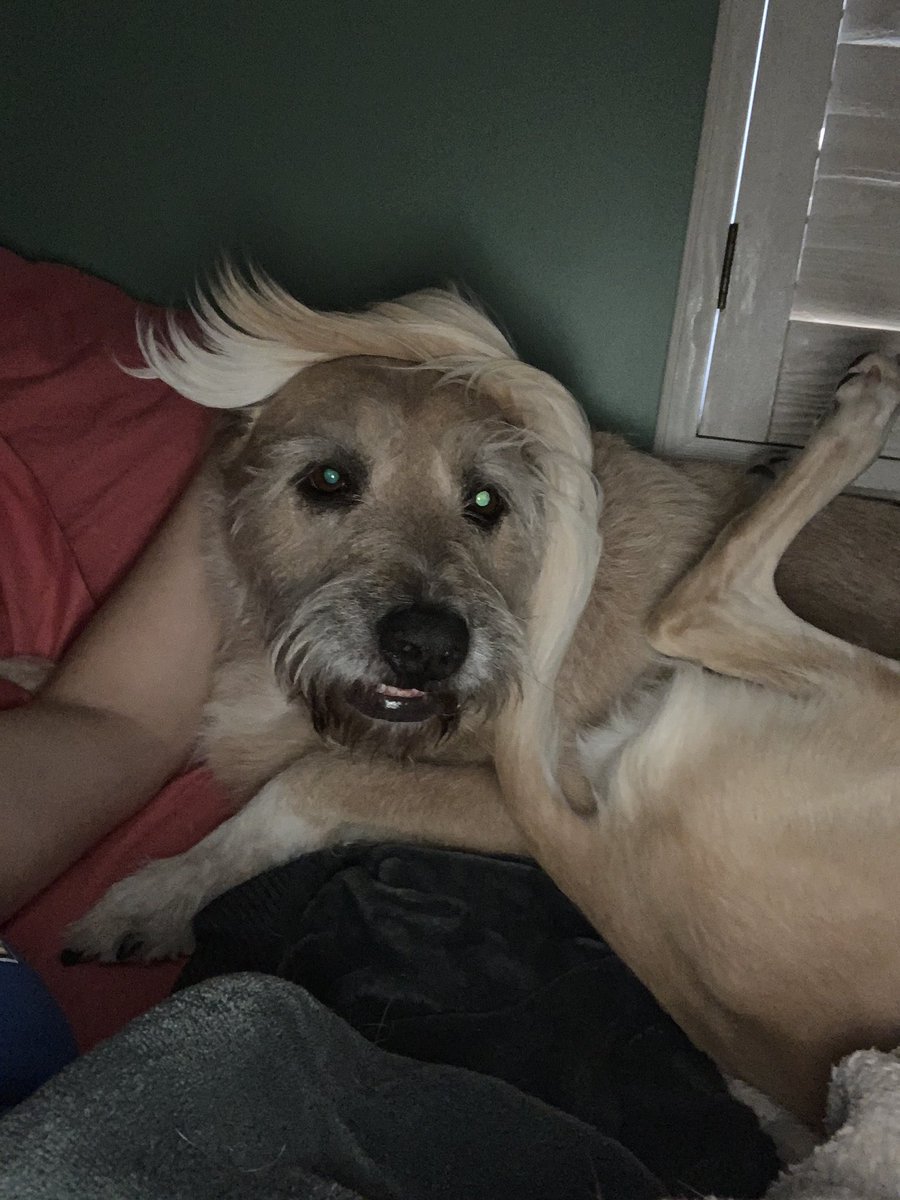 SoCalSquatter tweet media