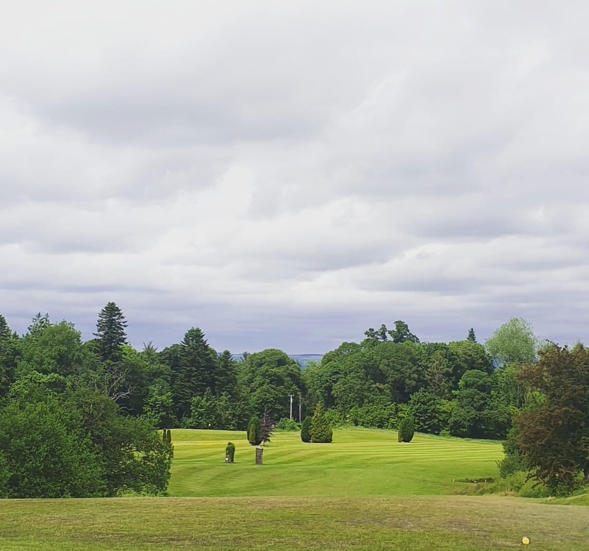 ClonesGolfClub's tweet photo. Want play golf this week?
Then come play the @Heineken open week which runs to Sunday.

Prizes for 1st &amp; 2nd and a seniors prize.

€15 for visitors. 

Thank you to @Heineken &amp; @MacSammon for the sponsorship. https://t.co/0hF6lUauCt