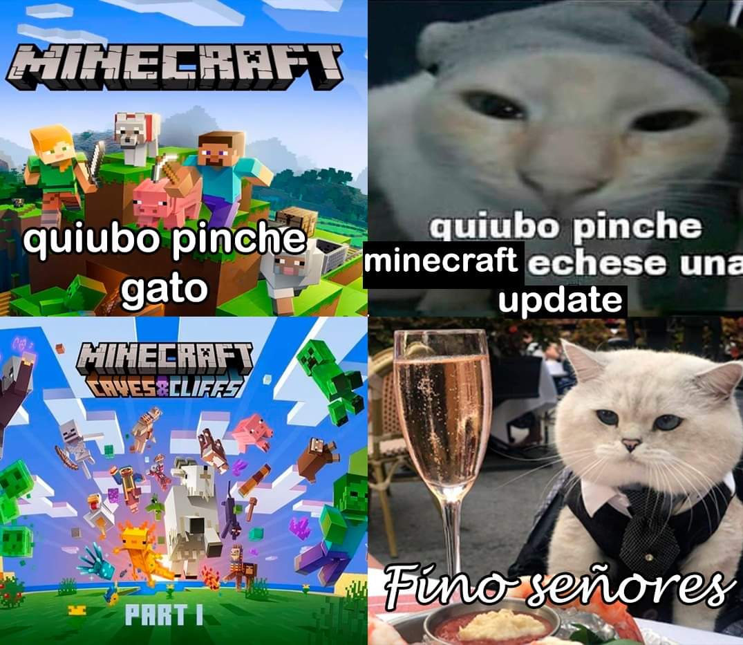 ElNaM0 on X: Fino señores #memes #Minecraft  / X