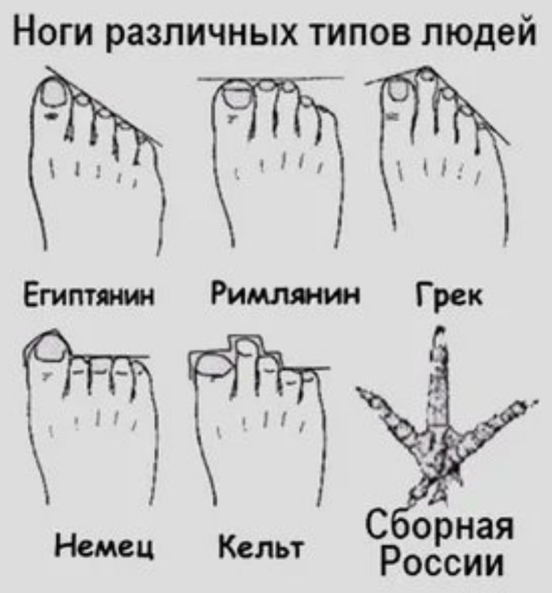 Какие бывают пальцы ног. Форма стопы Греческая Римская и Египетская. Типы пальцев на ногах. Ноги разных типов людей. Ступни различных типов людей.