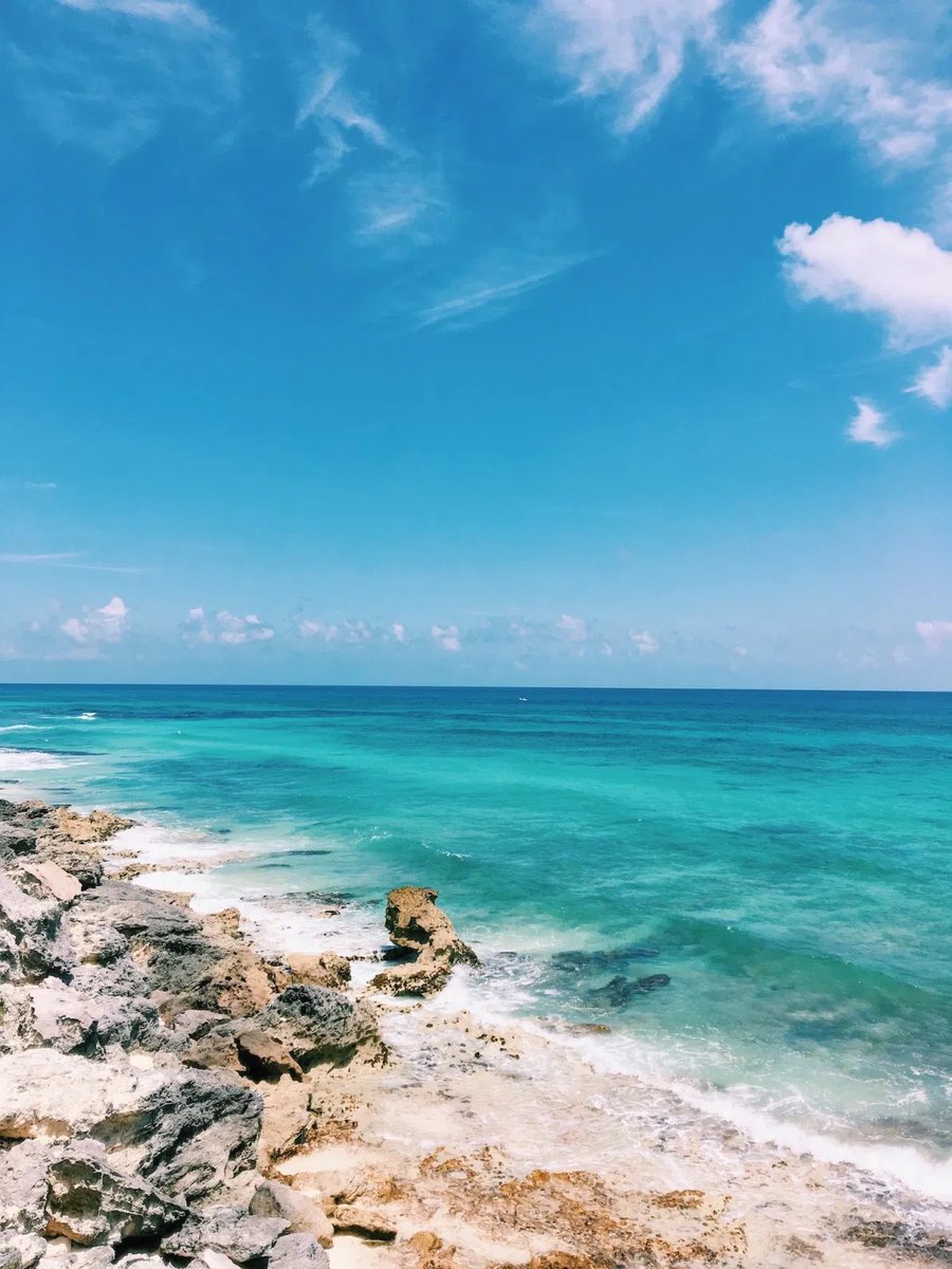 Tucancun's tweet photo. Un fin de semana en #Cancún todo incluido a la orilla del mar, es todo lo que pido.

Síguenos en Instagram  https://t.co/wH7HjbTPv4

#cancun #islamujeres #tulum #playadelcarmen #holbox #bacalar #quintanaroo #chichenitza #caribe #rivieramaya #caribemexicano https://t.co/VqLP5HzHQO