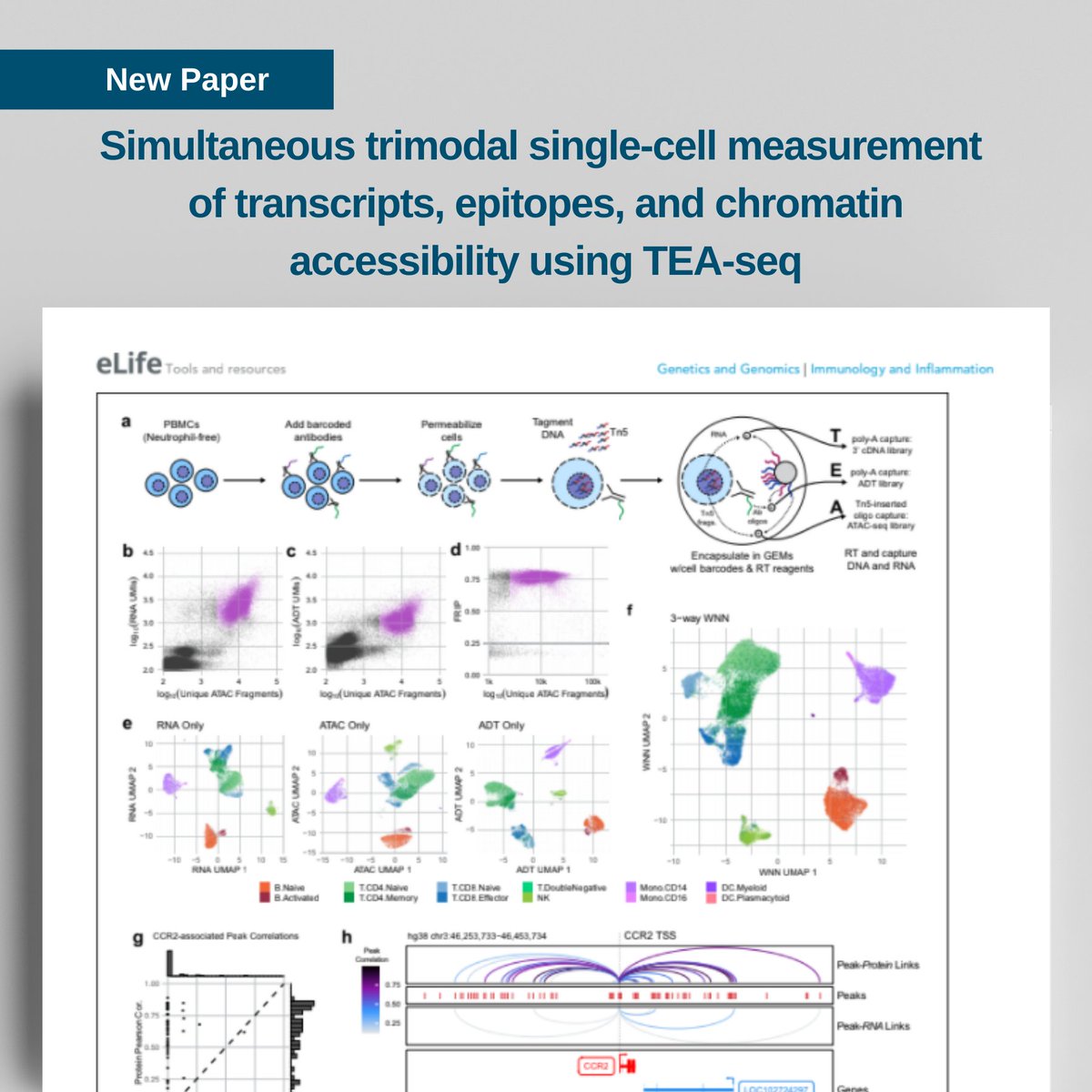 Nexcelom's tweet photo. New Paper: Simultaneous trimodal single-cell measurement of transcripts, epitopes, and chromatin accessibility using TEA-seq
research by the @AllenInstitute of #Immunology
Read more: https://t.co/GOsLcHsp05
Learn more about the #Cellometer #Spectrum: https://t.co/vCtVzXqcAx https://t.co/fQcifo0mPi
